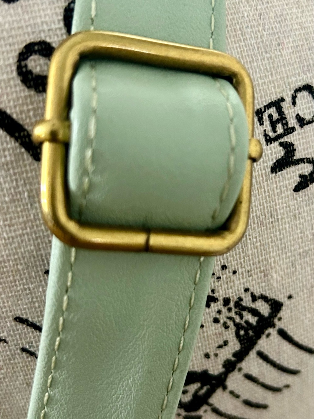 Pokemon Eevee Floral Satchel in Mint and Cream - Picture 6 of 15